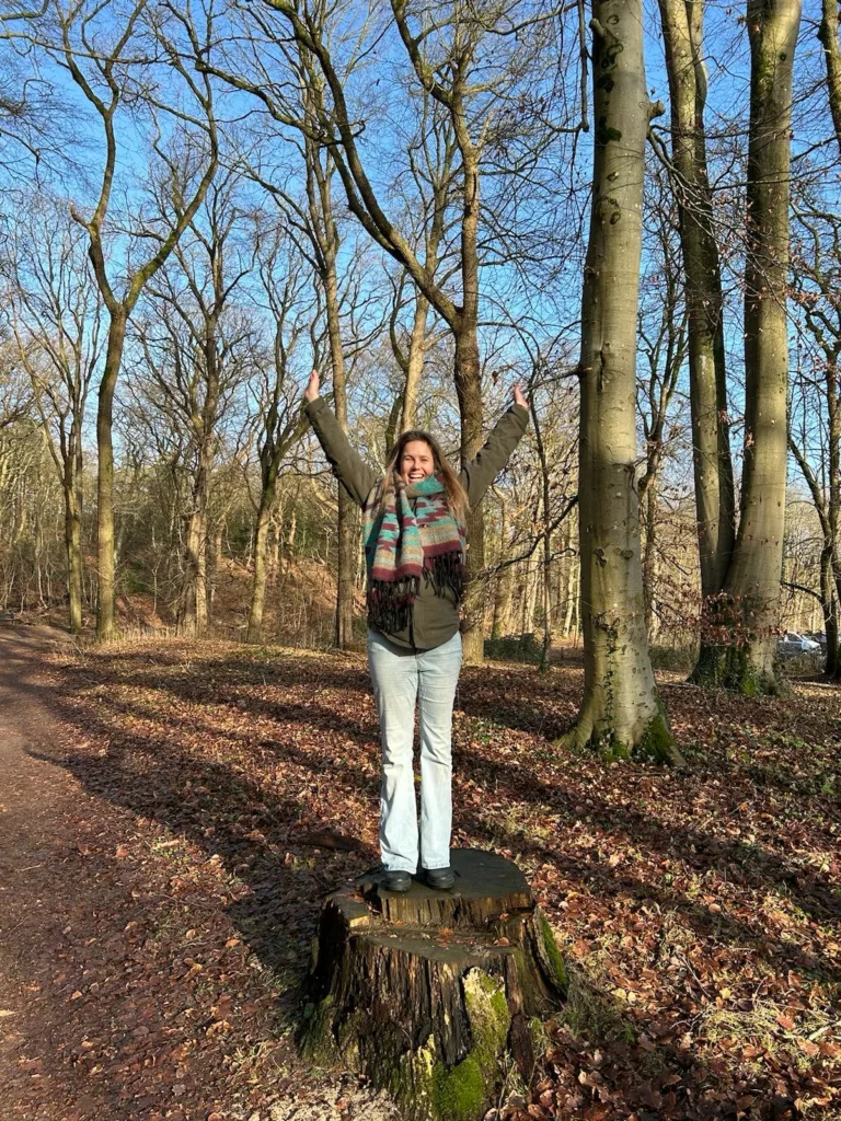 zakelijke workshops, bezinning, healing, meditation, creativity